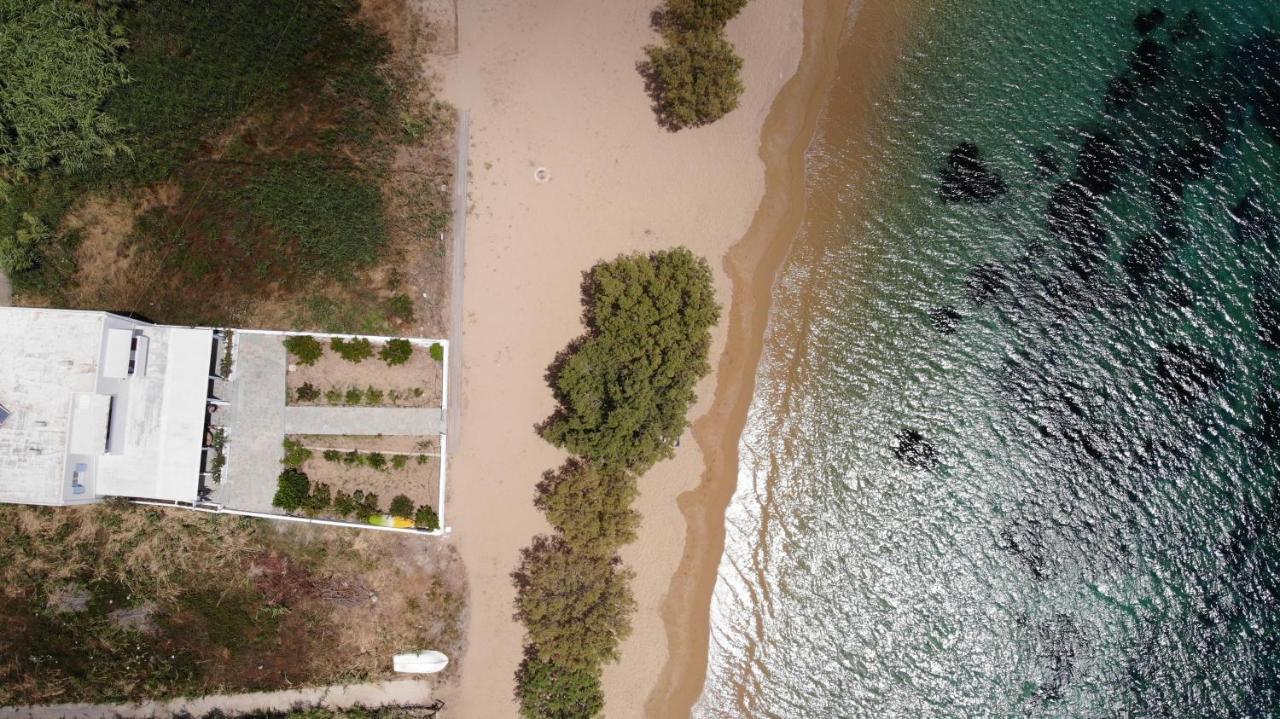 Galazio Seaside Apartments Livadakia 외부 사진
